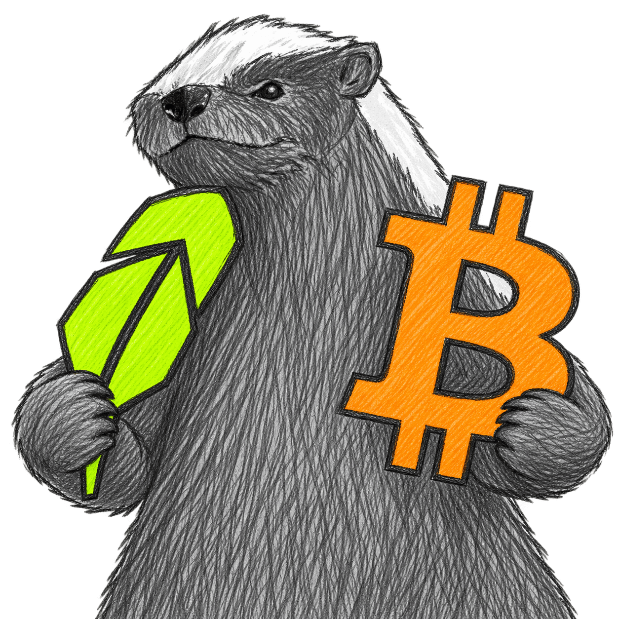 Pencil-drawn honey badger holding a bright green Robinhood feather and an orange Bitcoin symbol.